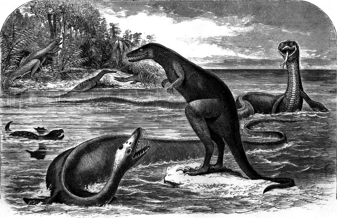 Dessin de quatre dinosaures, par Cope. Les problèmes sont nombreux, notamment chez le dinosaure dans l’eau au premier plan, dont la tête est au bout de la queue ! Extrait d’un article paru dans la revue American Naturalist (image : domaine public, Wikimedia Commons)