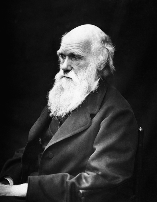 Charles Darwin en 1869, portrait par la célèbre photographe Julia Margaret Cameron (image : domaine public, Wikimedia Commons)