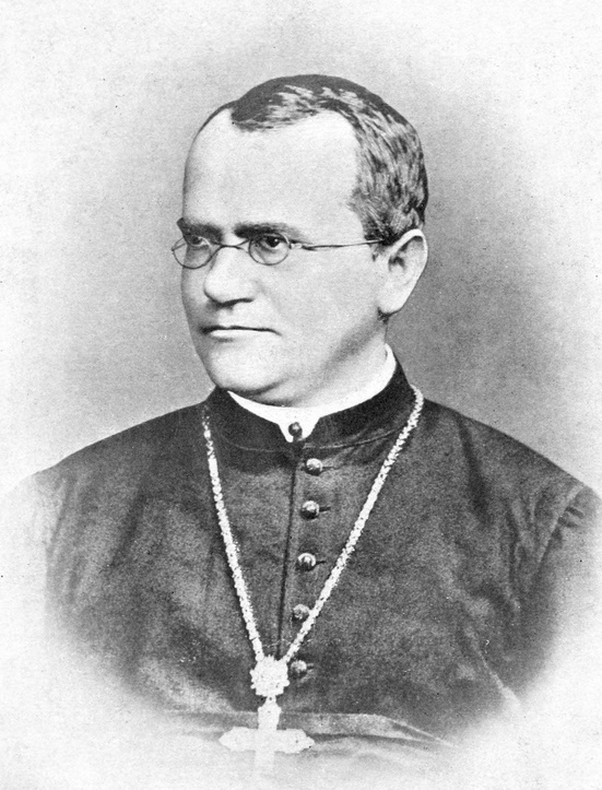 Gregor Mendel, dans Bateson, 1902, (image : domaine public, Wikimedia Commons)